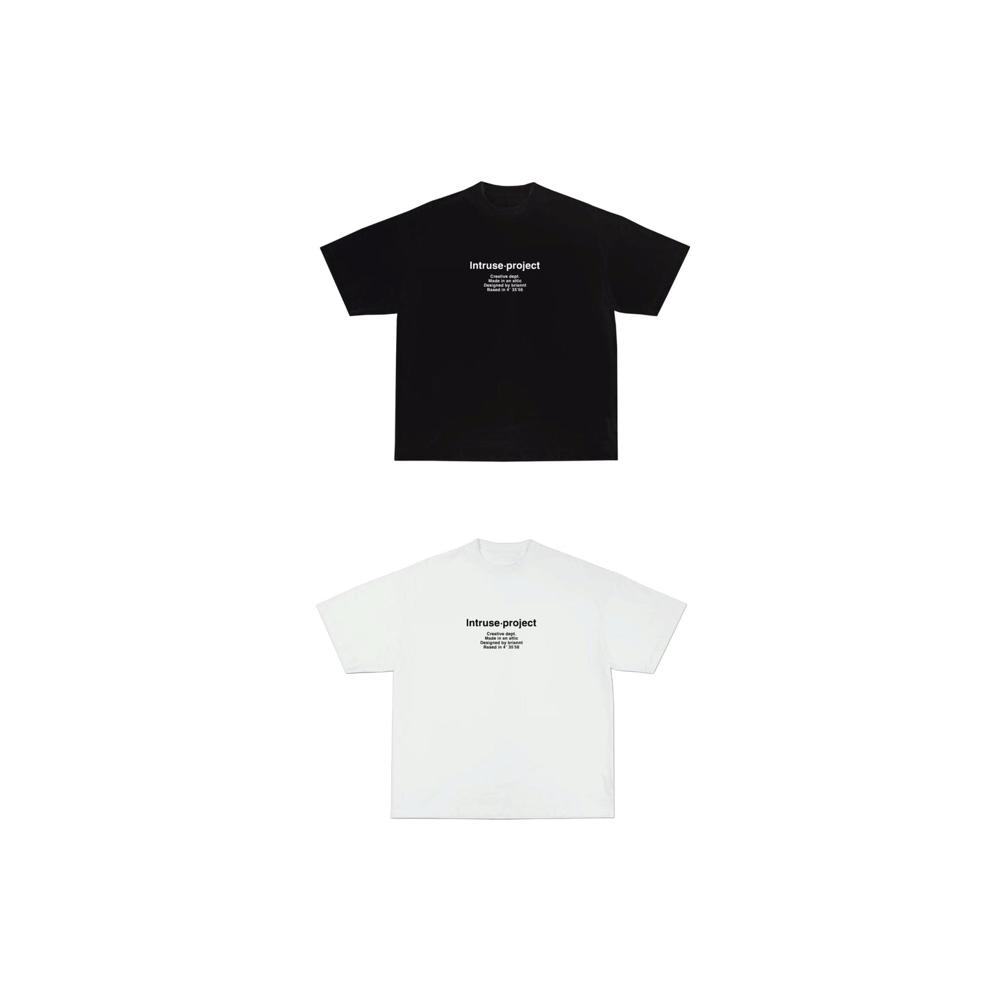Basic Intruse project boxy tee