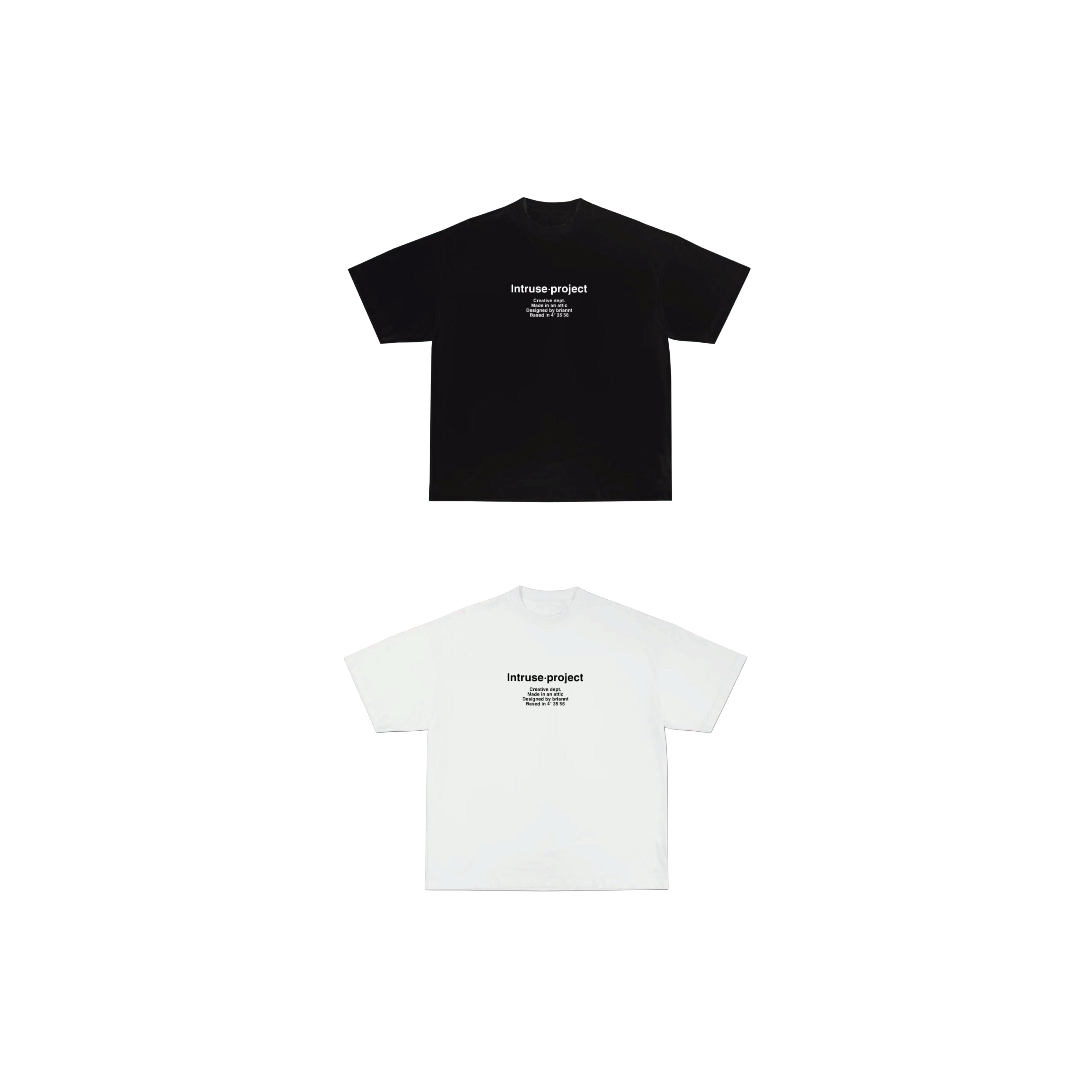 Basic Intruse project boxy tee