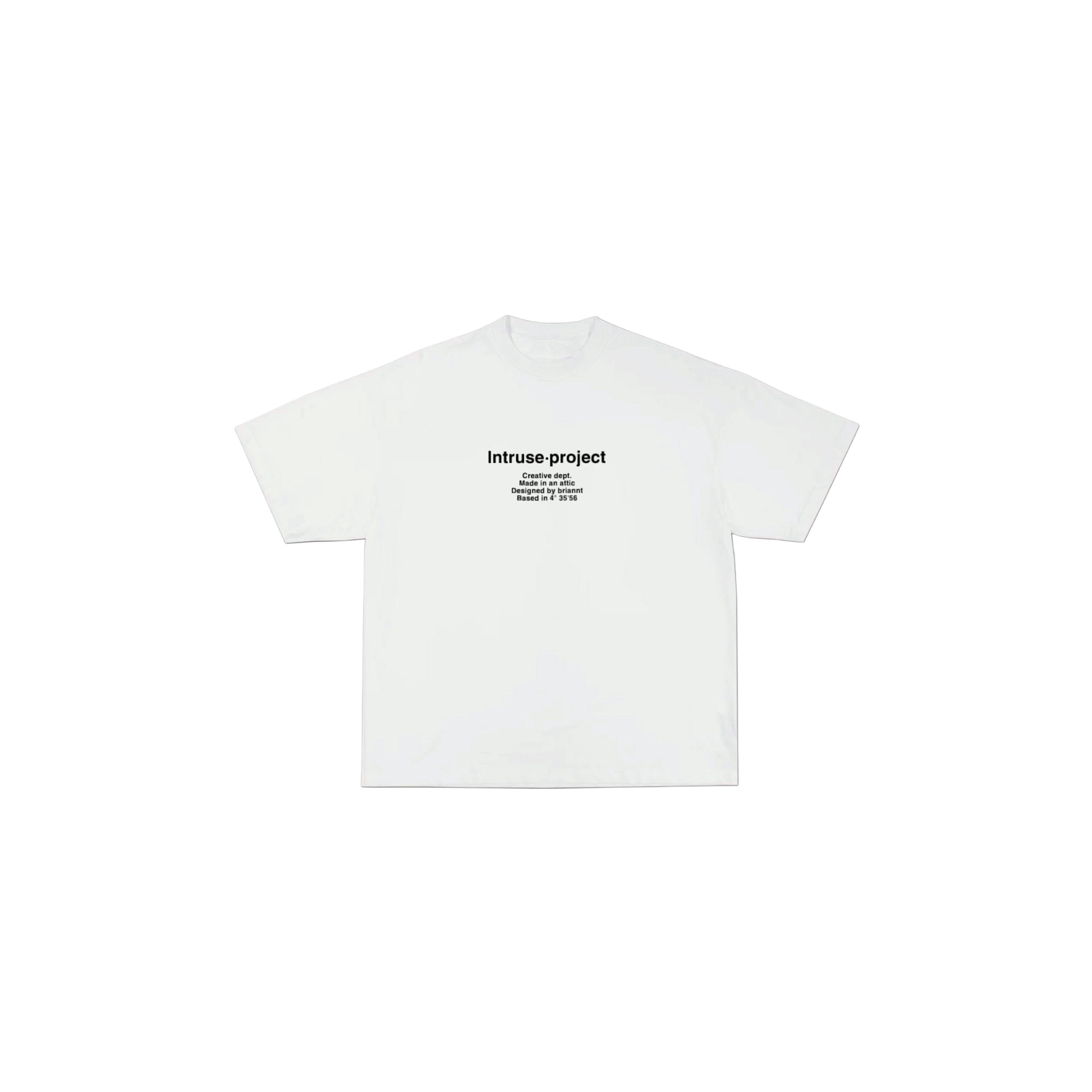 Basic Intruse project boxy tee