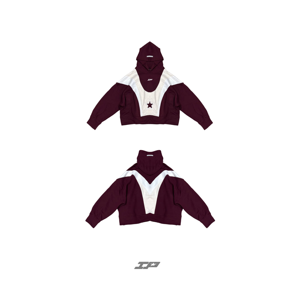 CLEAN LINES V2 VINOTINTO